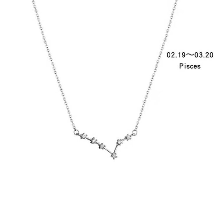 Personalized Zodiac Jewelry Customized S925 Sterling Silver Crystal Constellation Necklace - Image 14